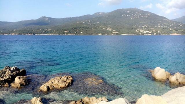 Magnifique Appartement Devant La Plage Propriano  Bagian luar foto