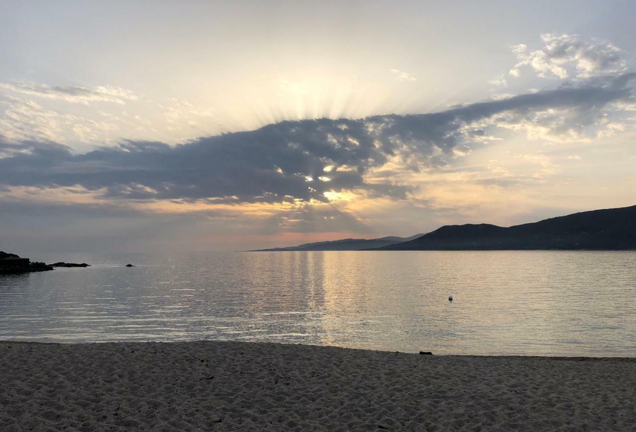 Magnifique Appartement Devant La Plage Propriano  Bagian luar foto